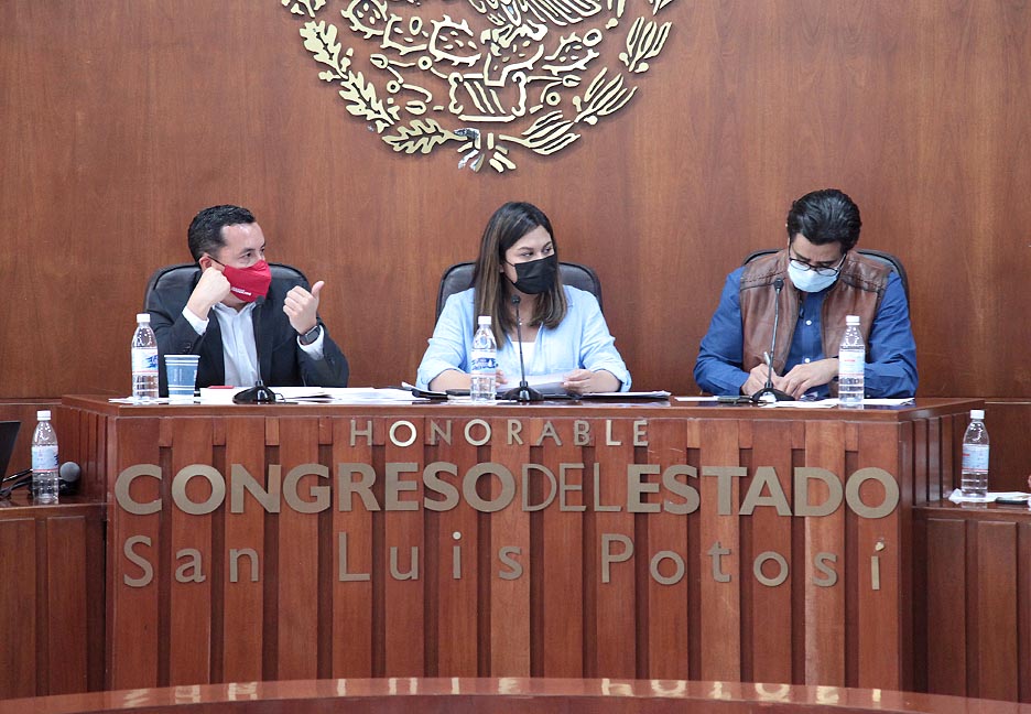 Comisión Especial para la Reforma Político-Electoral