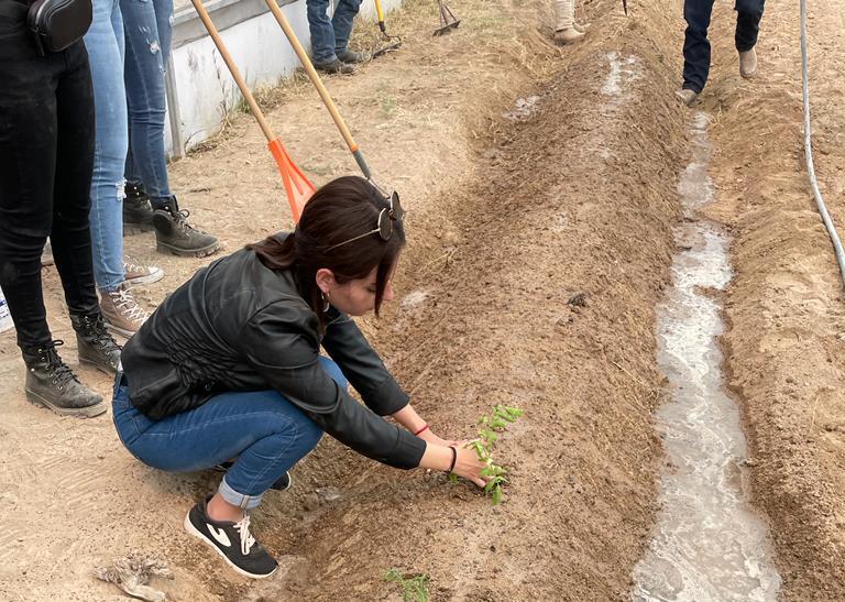 Ingeniería Agroindustrial
