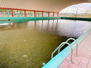 alberca-olimpica-municipal-valles