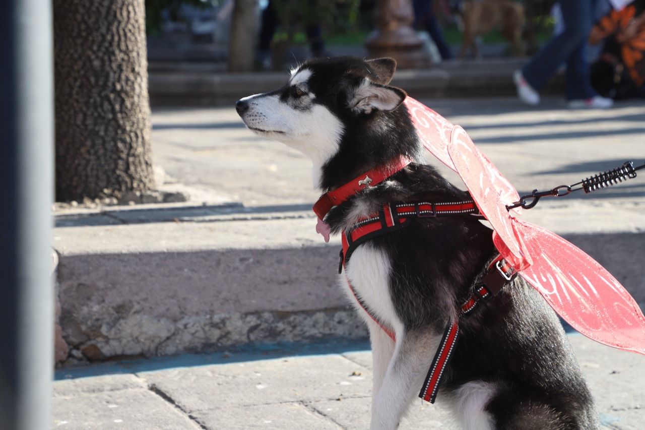 caminata