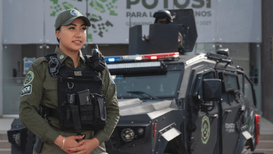 seguridad guardia civil estatal