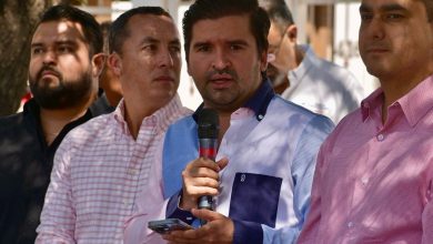 Gobierno de la Capital protege el arbolado urbano con acciones firmes