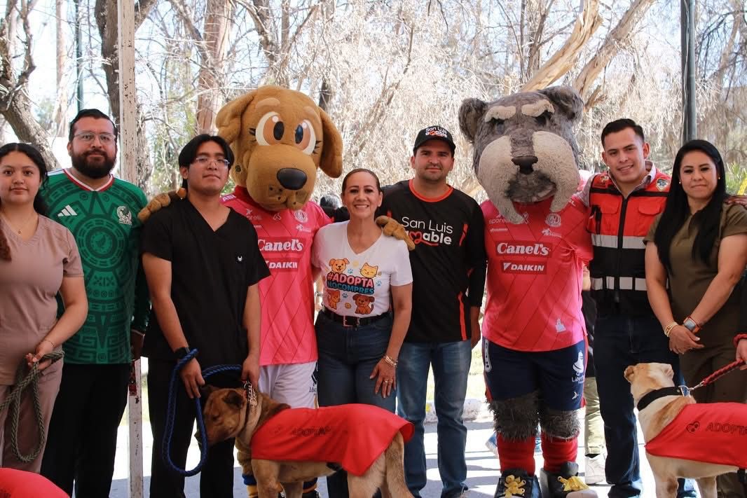 adopción gobierno municipal slp