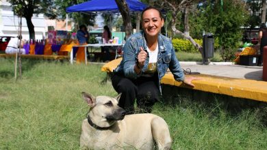 adopción gobierno municipal slp