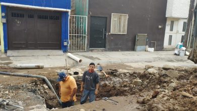 Interapas Los arbolitos