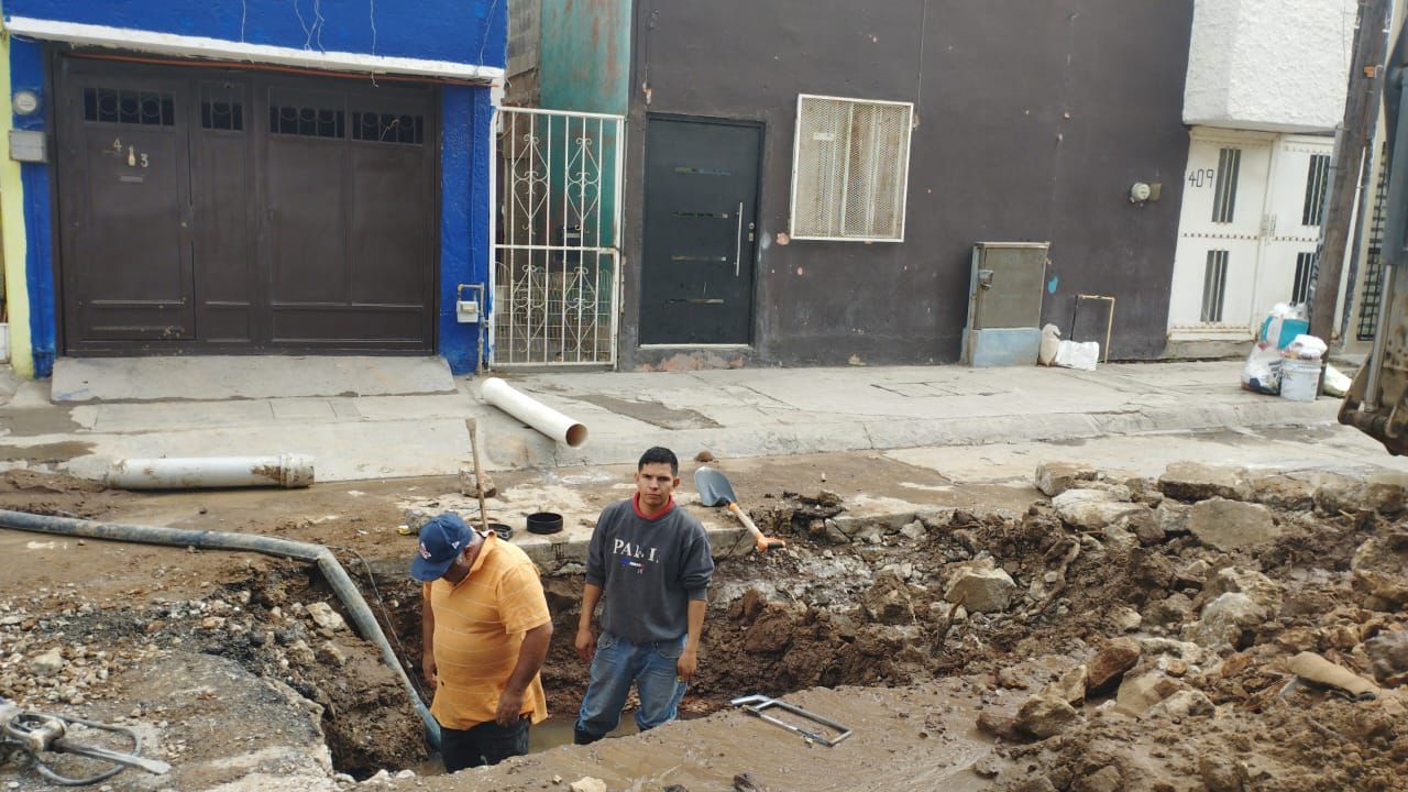 Interapas Los arbolitos