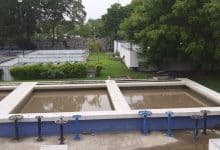 Agua turbia dapa enfermedades