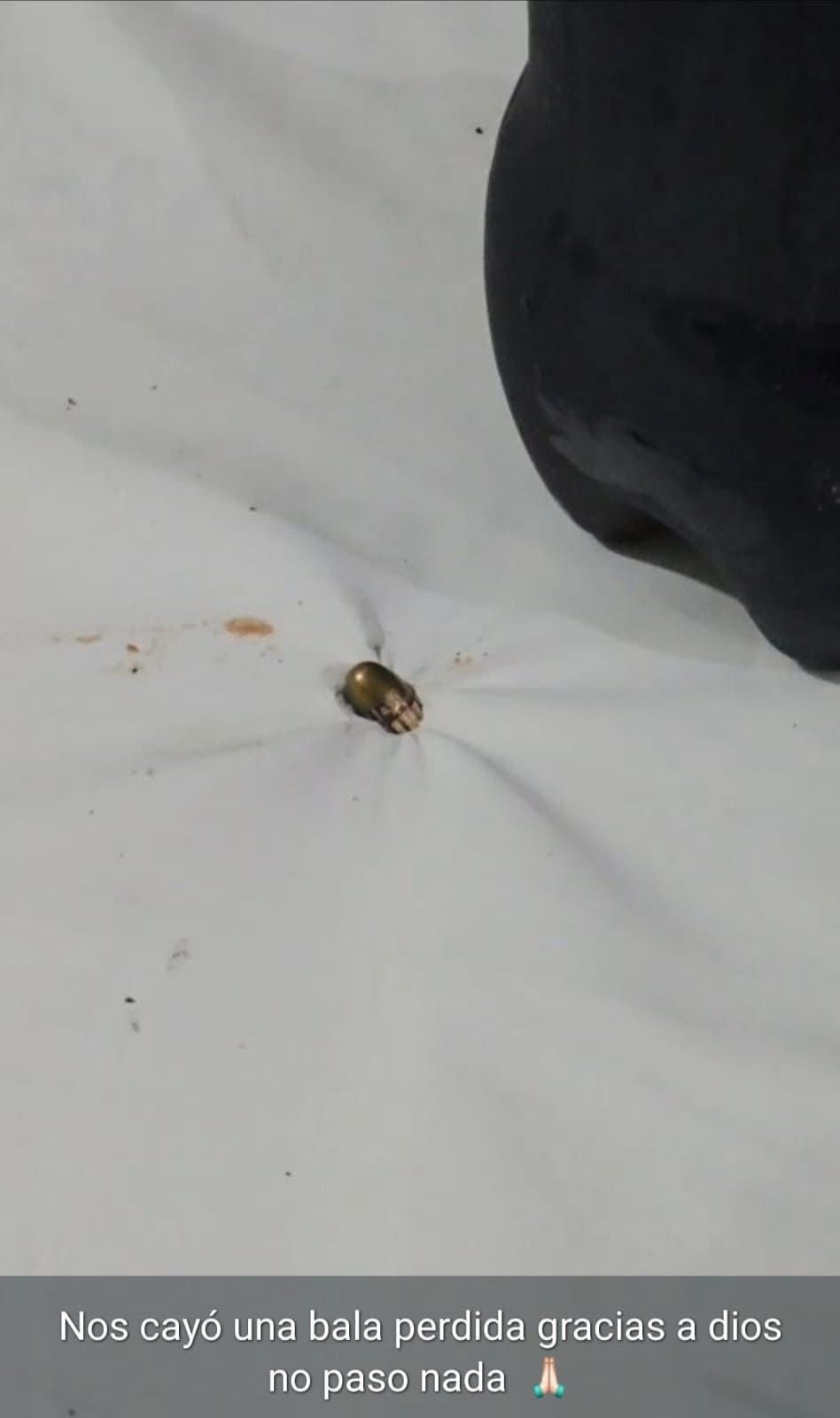 bala perdida angostura