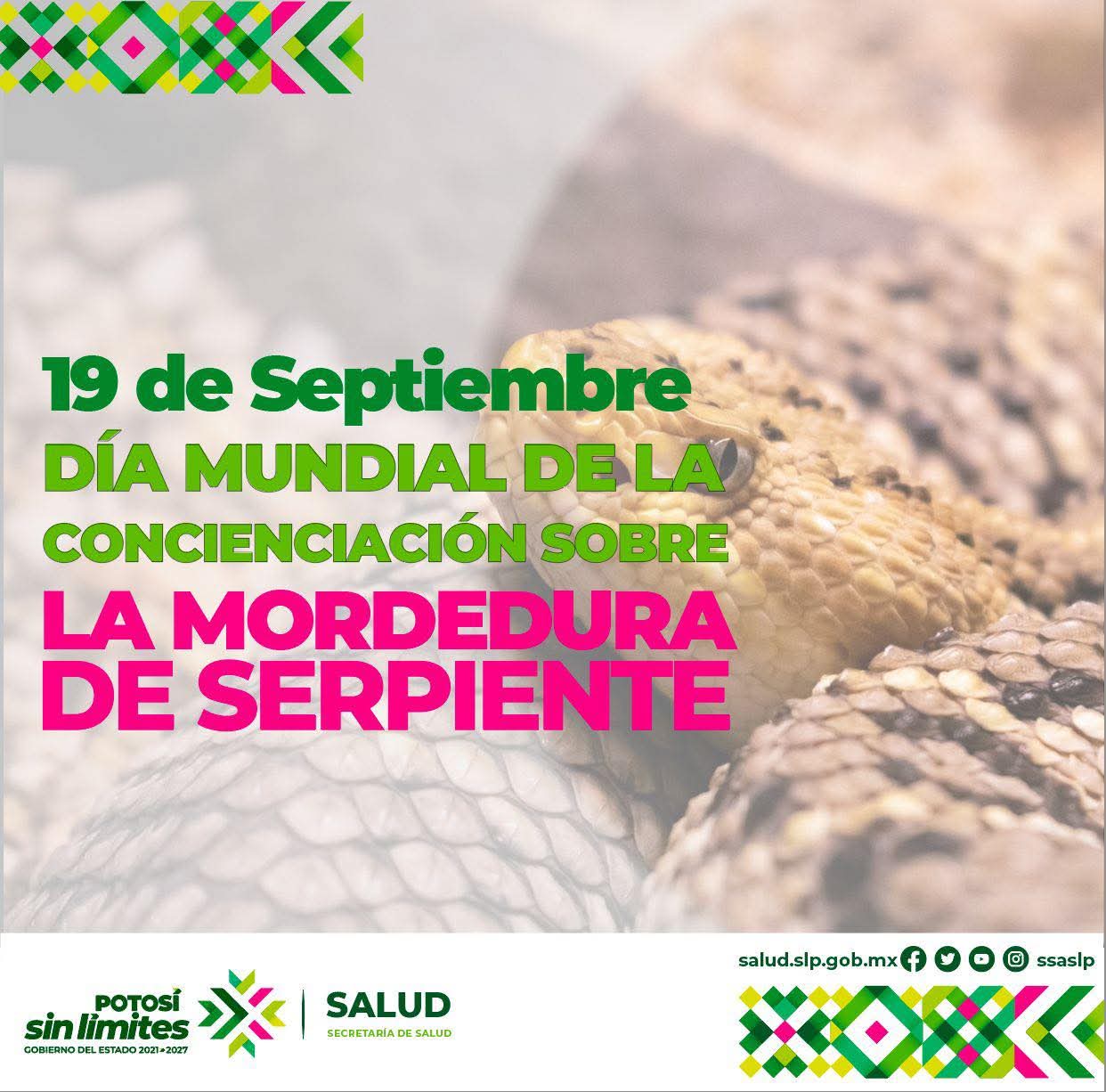 dia internacional mordedura serpiente