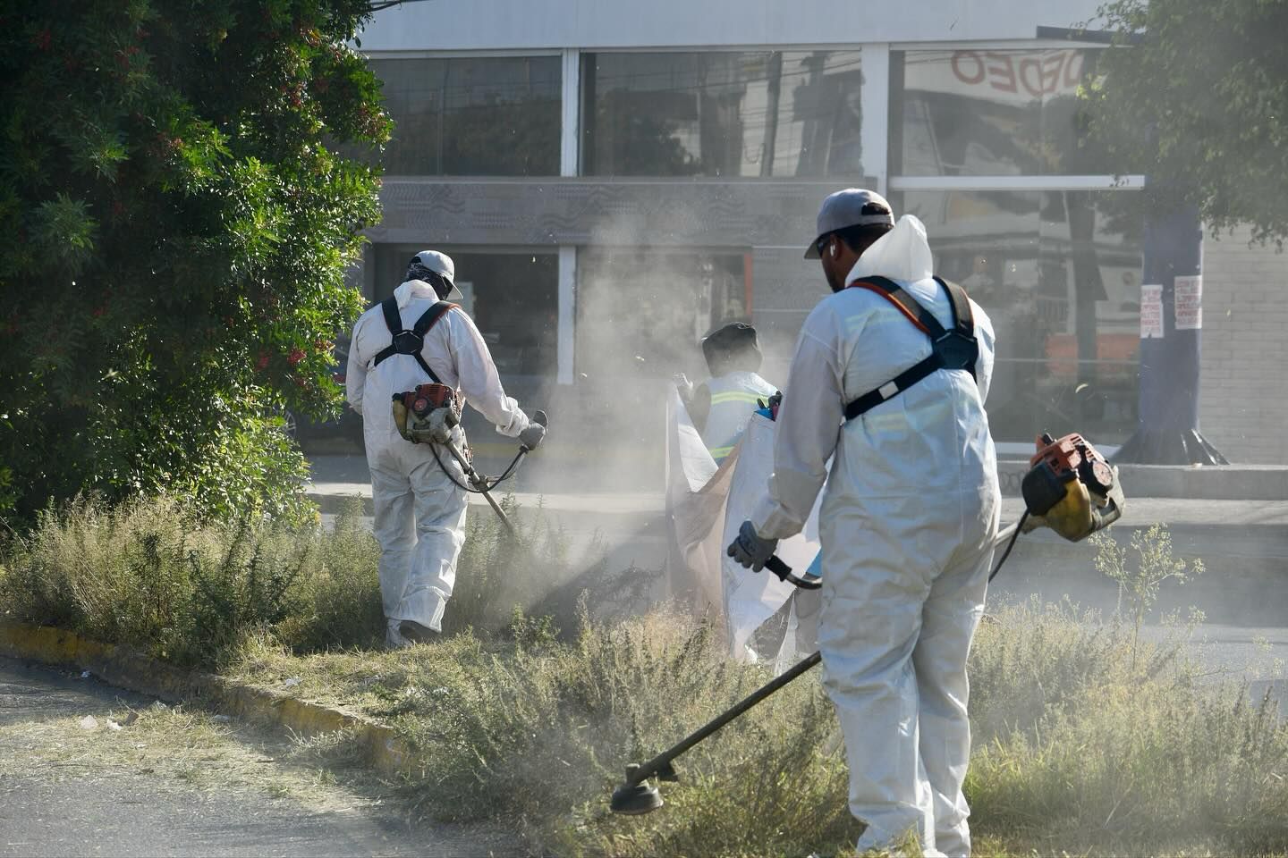 camellón rutilo torres gobierno municipal slp