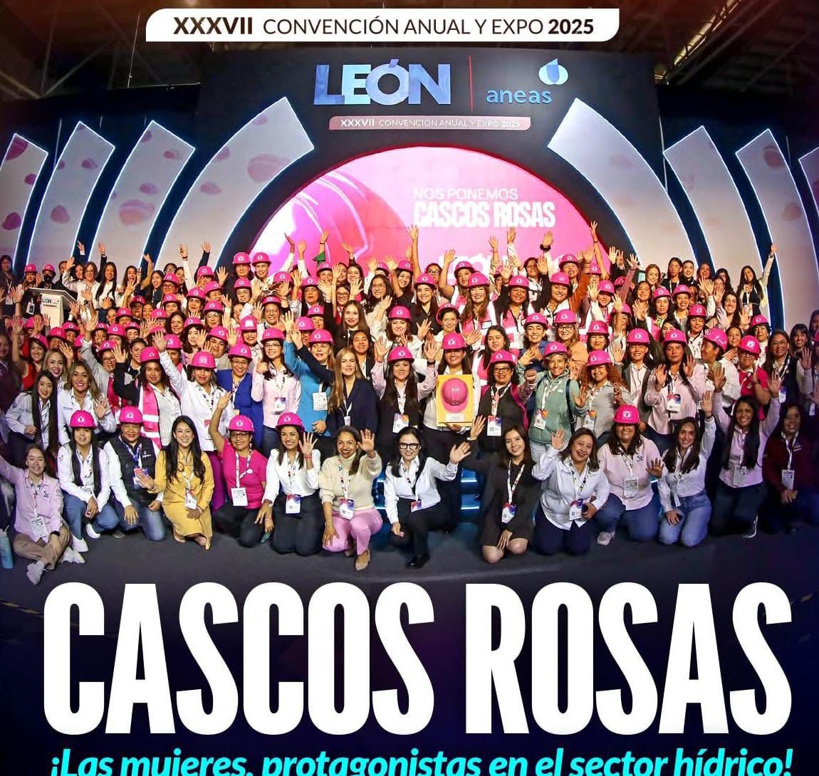 CASCOS ROSAS GOBIERNO MUNICIPAL SLP