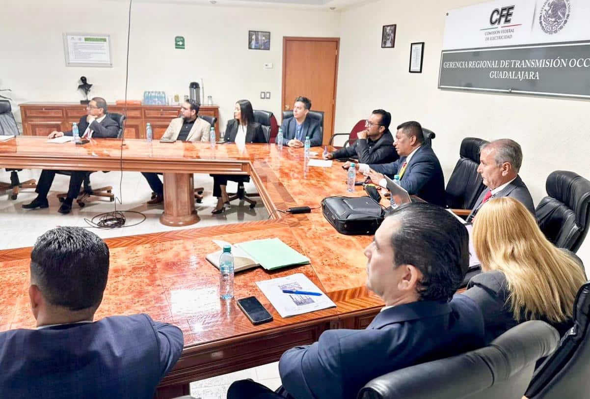 CFE GOBIERNO DEL ESTADO