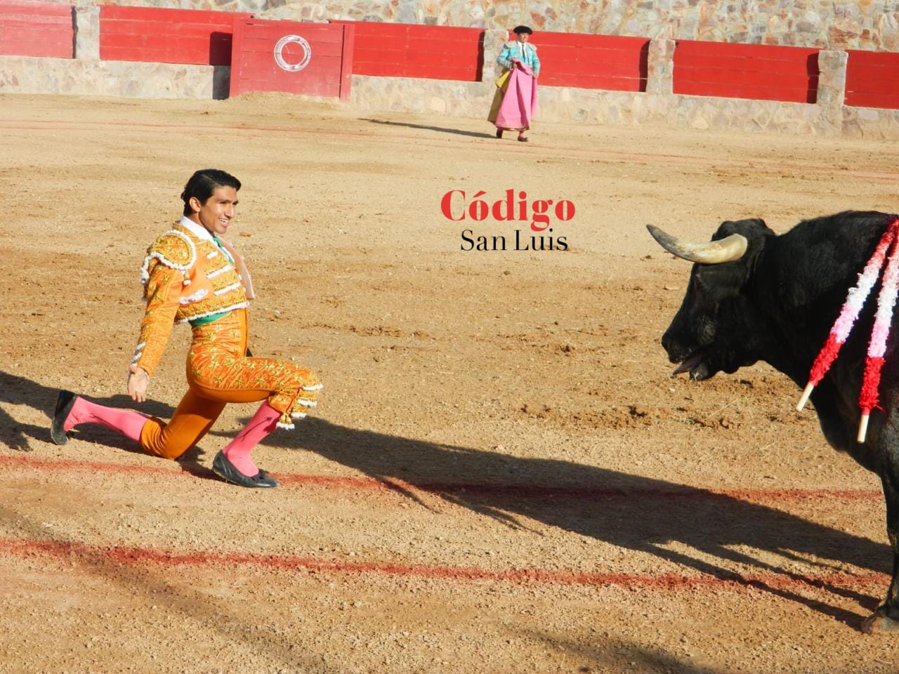 novillada cedral