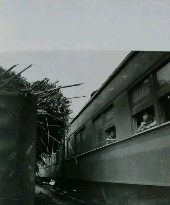 cronista tren pasajeros