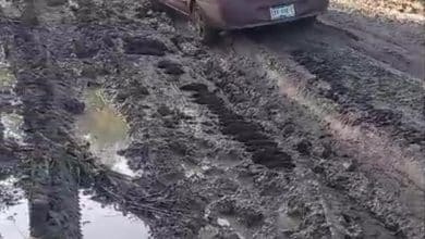 Camino La Taconala intransitable