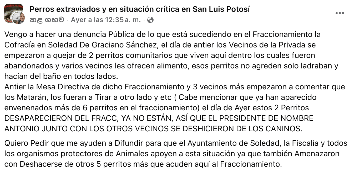 denuncia perritos soledad