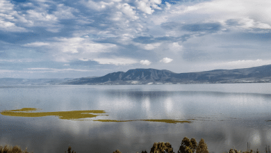 lago chapala