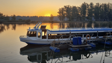 marinabus