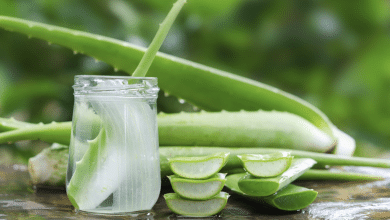 aloe vera