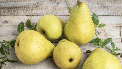 pera fruta