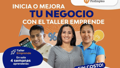 negocio comercio slp