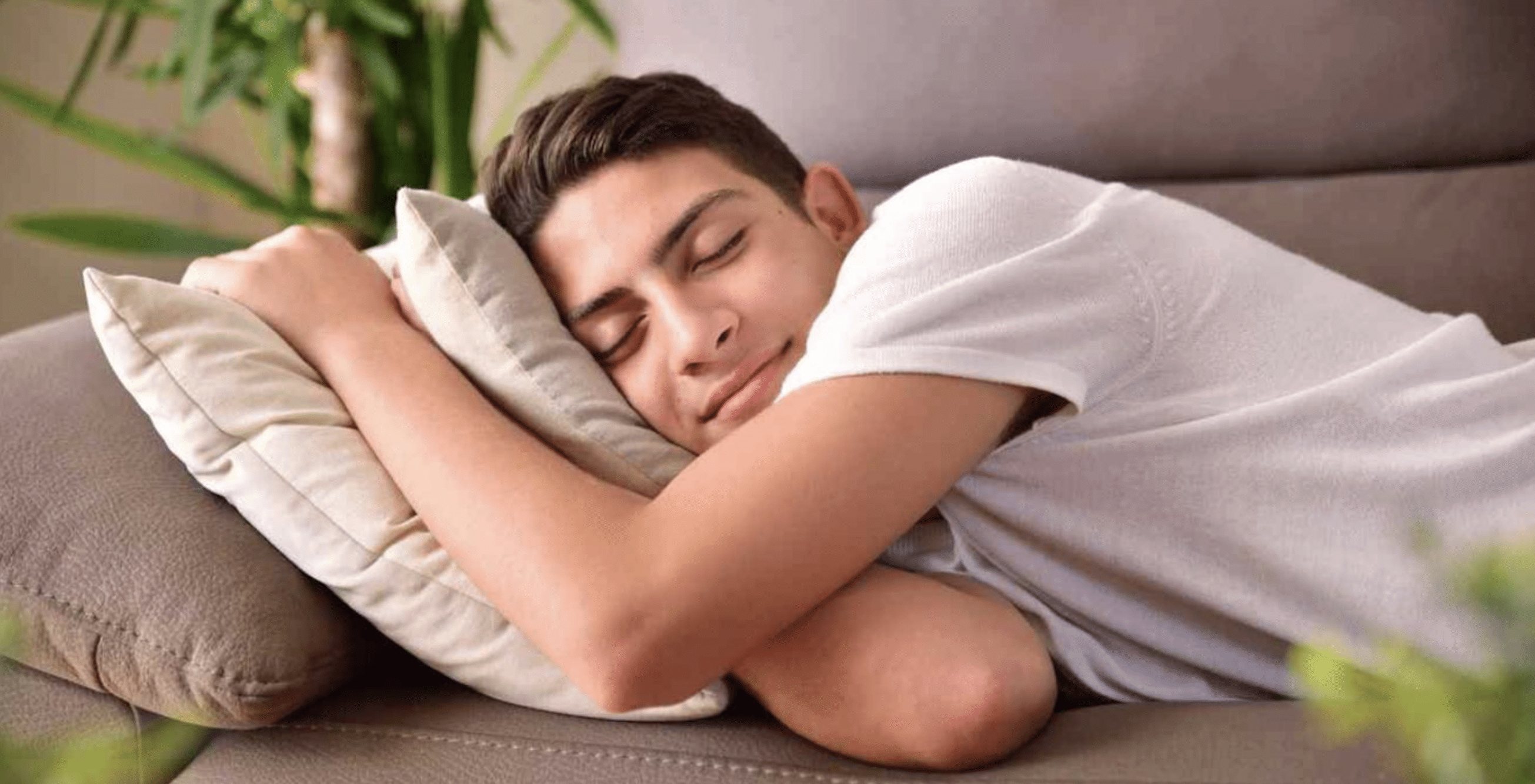 dormir siesta