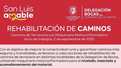 rehabilitación bocas