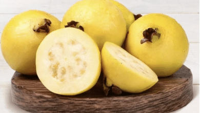 guayaba