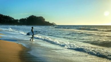 sayulita nayarit