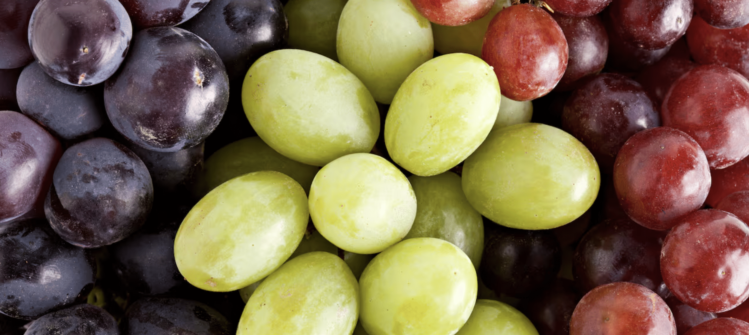 Uva fruta