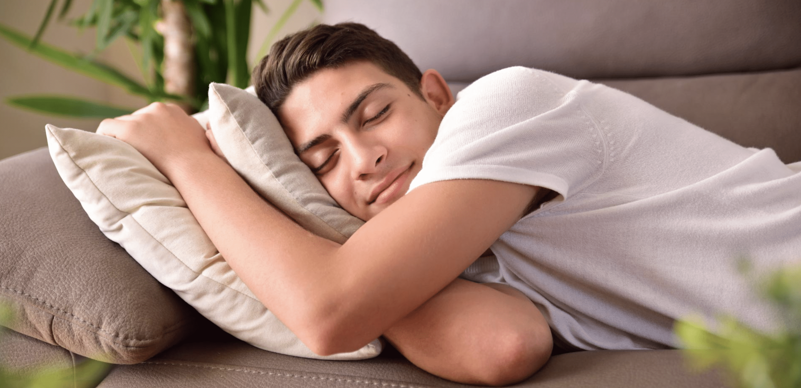 dormir siesta