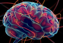 enfermedad de hungtinton