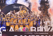 tigres femenil