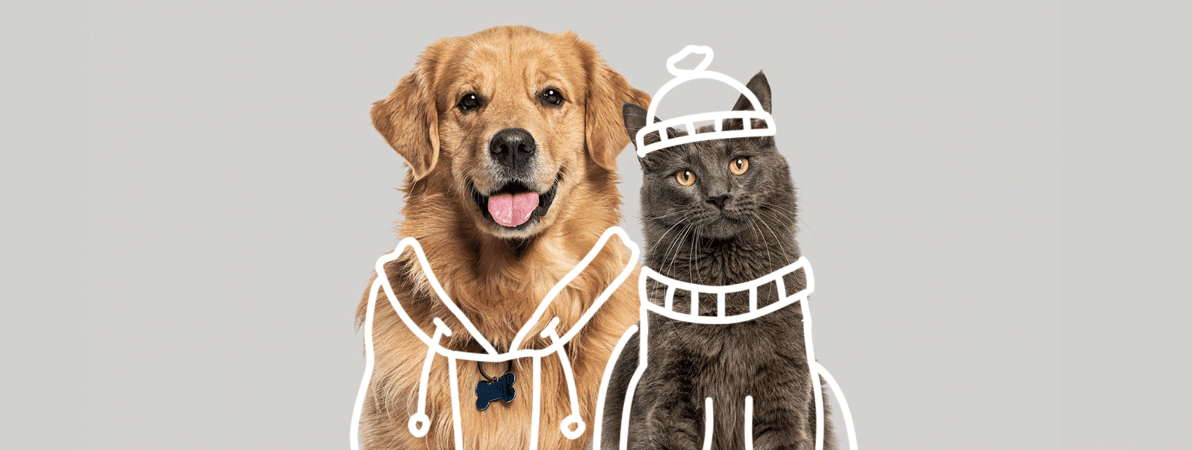 perritos gatitos frío