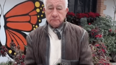 premio ecológico iclei gobierno municipal slp