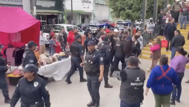 gobierno municipal slp mercado república