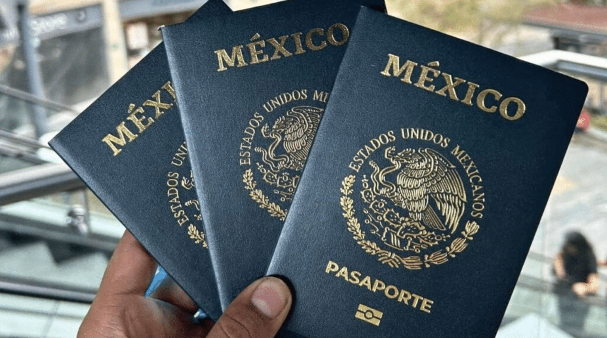 pasaporte ciudad valles