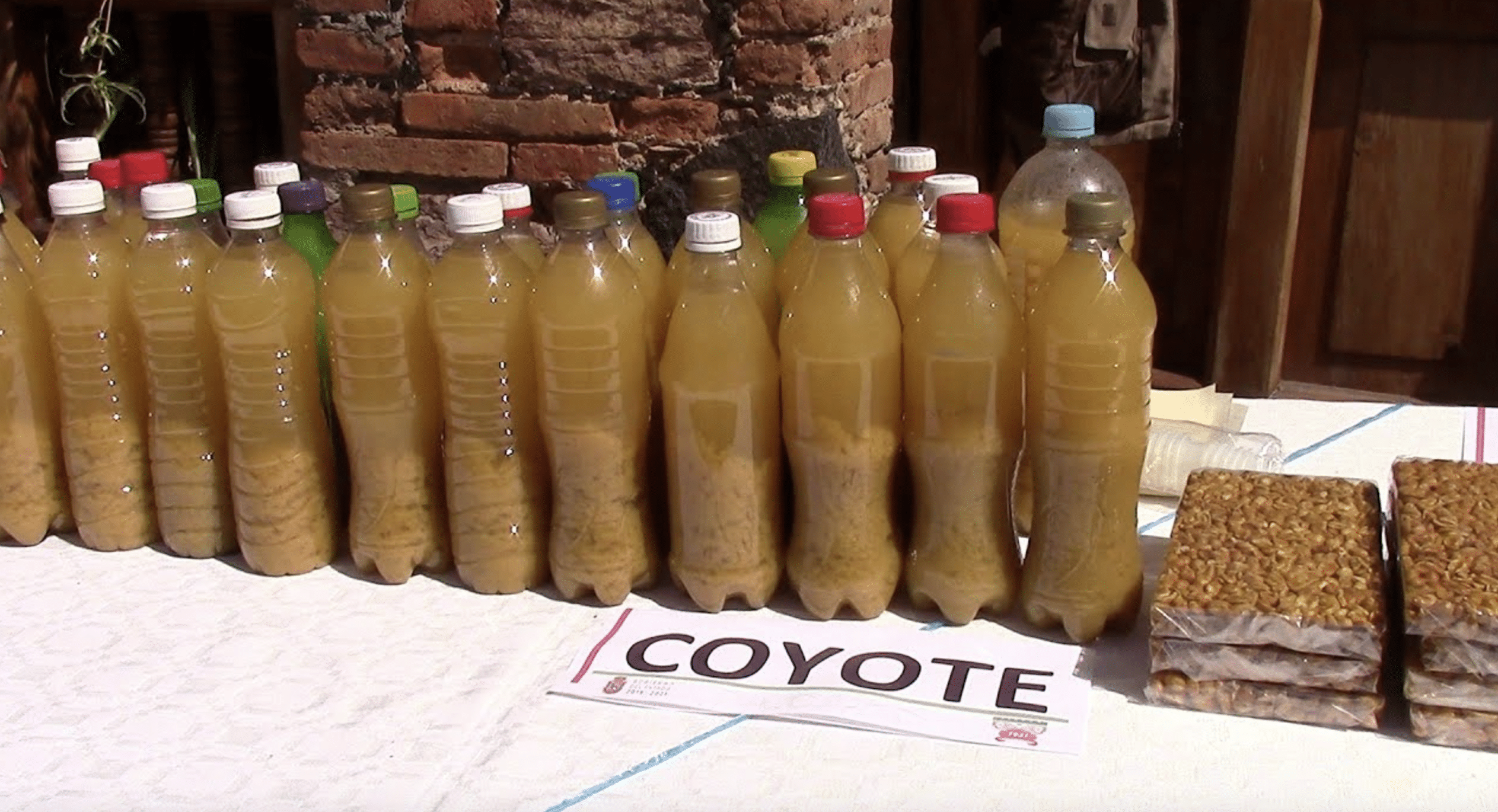 coyote guerrero gastronomía