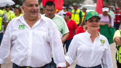 David Medina Valles PVEM