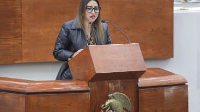 diputada roxana hernández