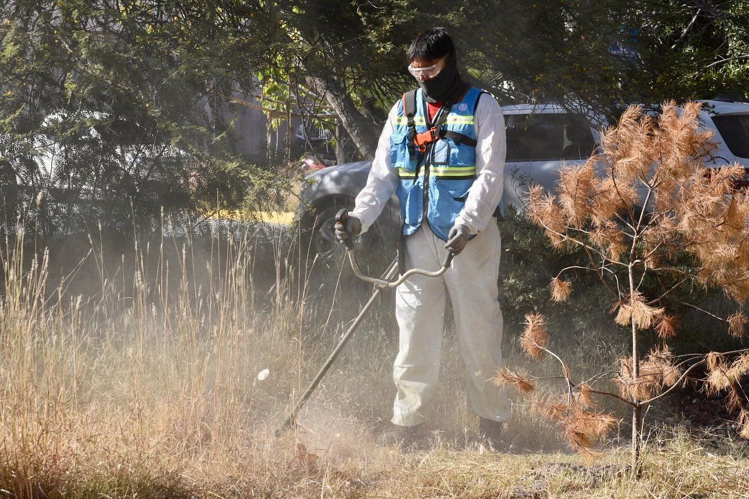 goytortua gobierno municipal slp