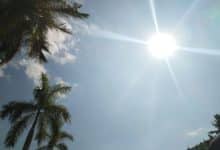 Invierno se despido Ola Calor