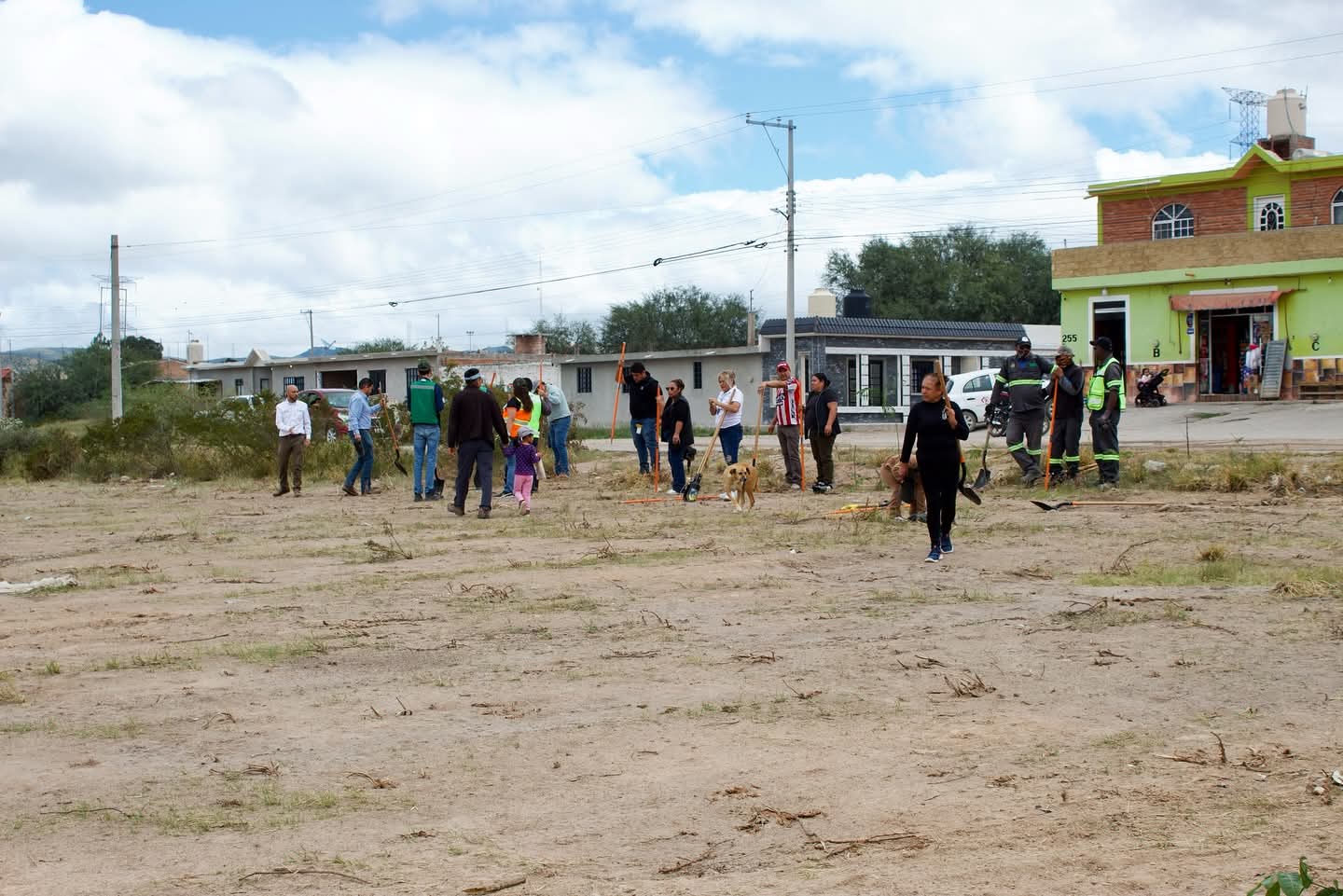 reforestacion jassos pozos