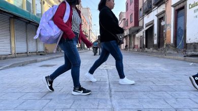 calle julián de los reyes gobierno municipal slp