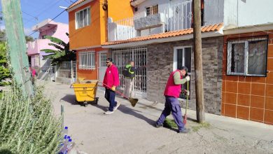 limpieza urbana
