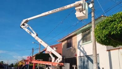 seguridad slp