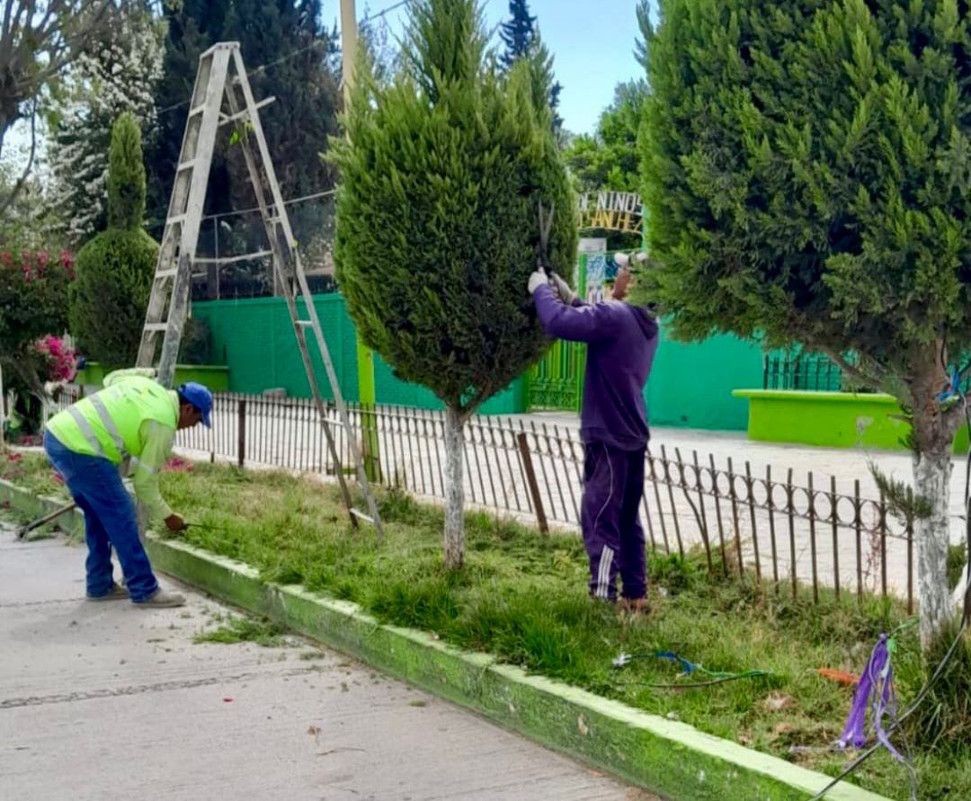 rehabilitación limpieza Día de Muertos