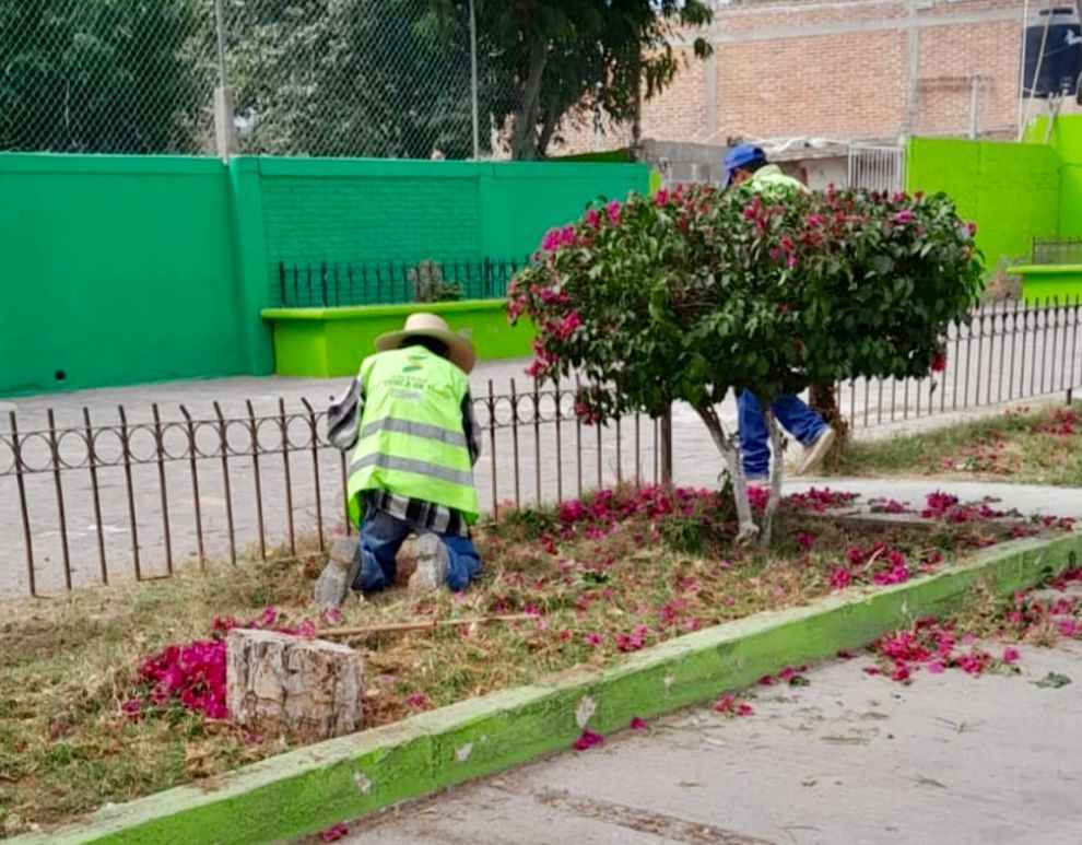 rehabilitación limpieza Día de Muertos