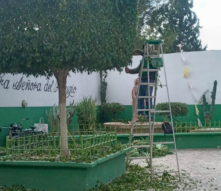 rehabilitación limpieza Día de Muertos