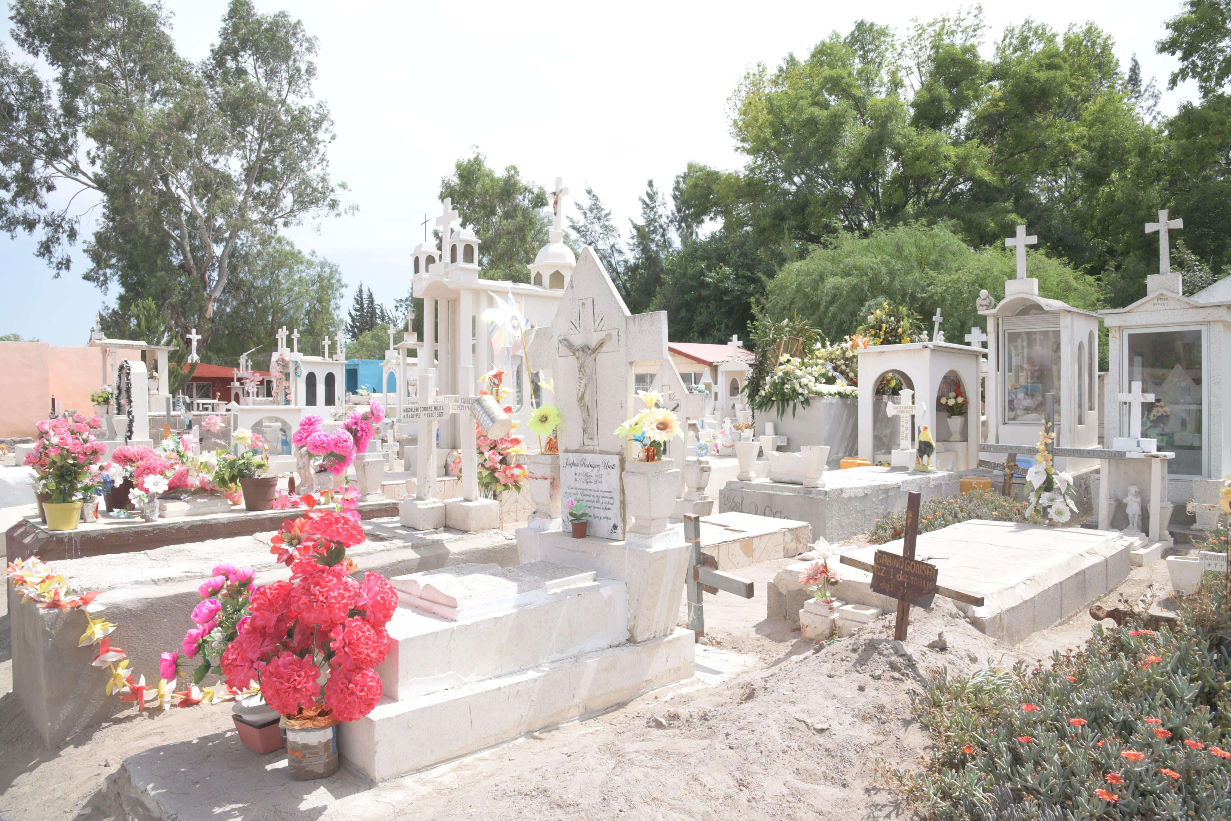 rehabilitación limpieza Día de Muertos